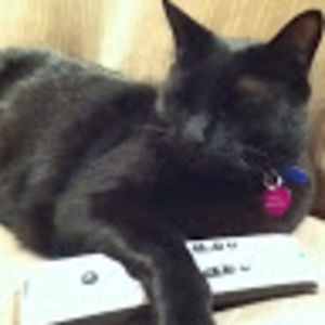 Meet your Posher, Sabrina